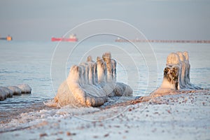 Frozen old pier piles