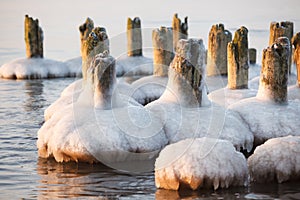 Frozen old pier piles