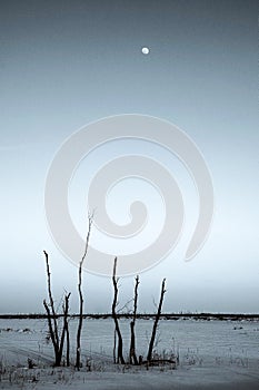 Frozen open field with full moon