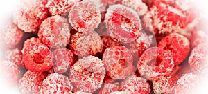 Frozen organic raspberry in white frosty frame close up. View from above. Banner