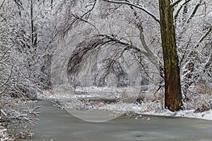 Zmrzlá cesta.