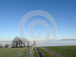 The frozen path leads to the sea of cloud