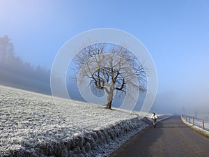 The frozen path leads to the sea of cloud