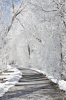 A Frozen Pathway