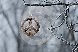 Frozen Peace Sign Hanging Alone in the Winter Forest