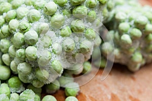 Frozen peas macro