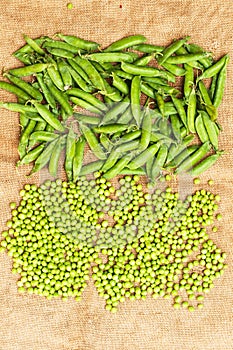 Frozen peas on a table. Pea pods on green background