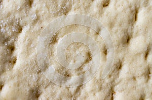 Frozen pizza dough