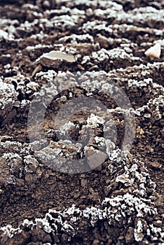 Frozen plowed agricultural field covered with frost