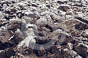 Frozen plowed agricultural field covered with frost