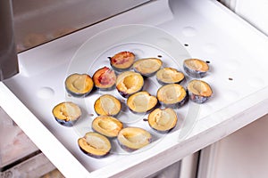 Frozen plums on a freezer shelf