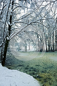 Frozen pond