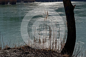 Frozen pond by a cold and sunny winter morning