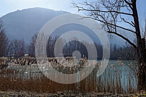 Frozen pond by a cold and sunny winter morning