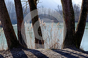 Frozen pond by a cold and sunny winter morning