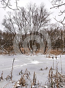 Frozen pond during cold winter day