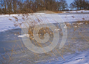 Frozen pond with footsteps and reeds in a beautiful landscape.