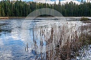 Frozen Pond in the Muskokas