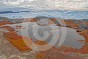 Frozen Pond, Reflections, and Ice in the Fall in the arctic