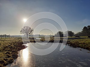 Frozen pond on a sunny winter morning