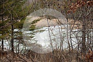 Ice on a frozen pond in the forest during winter