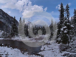 Frozen pond surrounded by snow-covered coniferous trees on Edith Cavell Meadows Trail in Jasper National Park, Alberta, Canada.