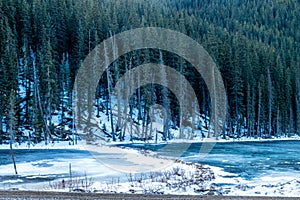 Frozen ponds with a skiff of snow. Sibbald Creek Trail, Alberta, Canada