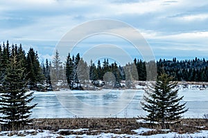 Frozen ponds with a skiff of snow. Sibbald Creek Trail, Alberta, Canada