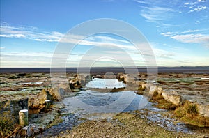 Frozen pools and tufts of grass in Morecambe Bay.