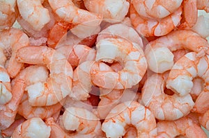 Frozen prawns