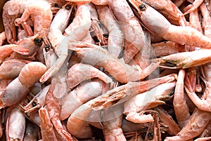 Frozen prawns