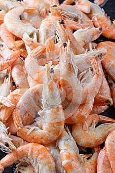 Frozen prawns on ice. macro.