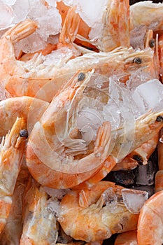 Frozen prawns on ice. macro.