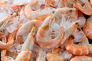 Frozen prawns on ice. macro.