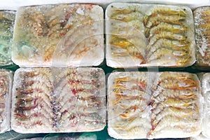 Frozen prawns shrimps in ice bag to preserve freshness