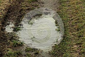 A frozen puddle on a frosty morning.