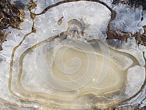 Zamrznutá kaluž počas zimy s ľadom a mrazenými rastlinami.