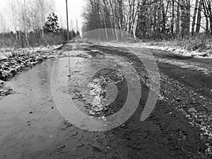 Frozen puddles on a dirt road. Nature in winter