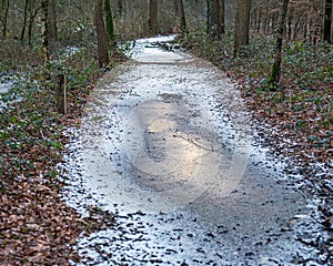Frozen puddles with some snow on a forest path.