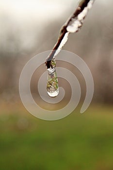 Frozen Rain Drop