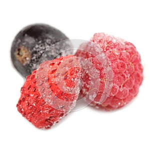 Frozen Raspberry, Blackcurrant and Wild Strawberry