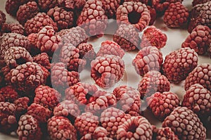 frozen raspberry on a dish/frozen raspberry on a white dish, selective focus