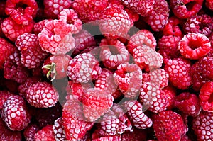 Frozen raspberry texture close up for background