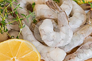 Frozen raw Shrimp