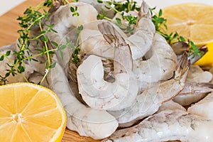 Frozen raw Shrimp