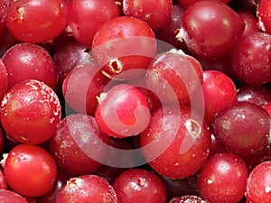 Frozen red berries. cranberry. close up. macro photography of delicacies