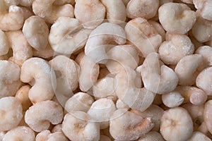 Frozen red pud shrimps photo