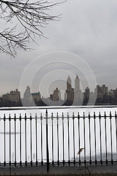 Frozen Reservoir