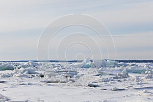 Frozen River