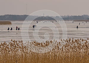 Frozen river, bent and icy anglers